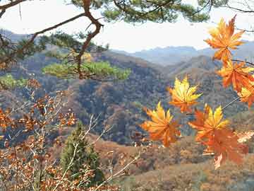 105官方彩票最新版本